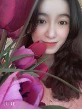 Profile picture for user baotrankrystal