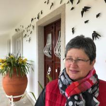 Profile picture for user cristina-albuquerque