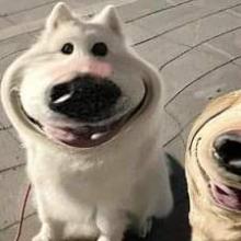 Profile picture for user PhamNgocBaoTram