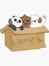 Profile picture for user amynguyenn