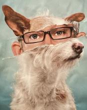 Profile picture for user quickbrooker