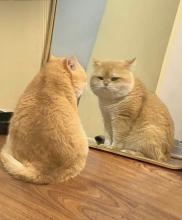 Profile picture for user Chindaporn65