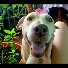 Profile picture for user Patricia_97