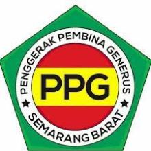 Profile picture for user Memed