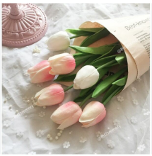 Profile picture for user tuyettrinhav