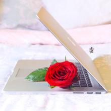 Profile picture for user Norah_542