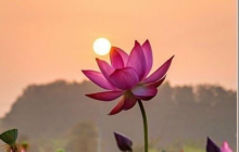 Profile picture for user Tuengan