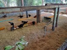 Profile picture for user piaja2537