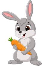 Profile picture for user ria_nvtsr