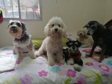 Profile picture for user marquezcintya42