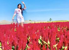 Profile picture for user sasiprapha19851985