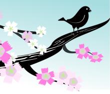 Profile picture for user EZENGLISHPERU