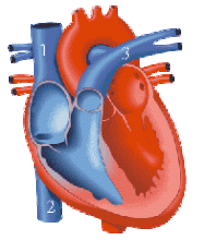 Profile picture for user norobio123