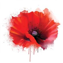 Profile picture for user echarma