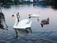 Profile picture for user inmasan