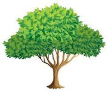 Profile picture for user RaquelMoleiro