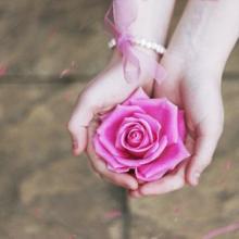 Profile picture for user abeeralsalahat85