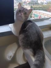 Profile picture for user MNerunchala