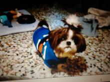 Profile picture for user ygonmar