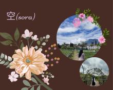 Profile picture for user Sintya_Novitri