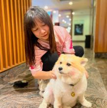 Profile picture for user saphie