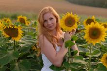 Profile picture for user SilkFox