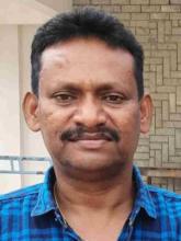 Profile picture for user rojashowry