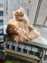 Profile picture for user Pruefungsvorbereitung