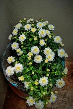 Profile picture for user Prakila_18