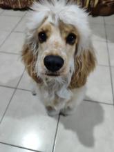 Profile picture for user Jessy_92