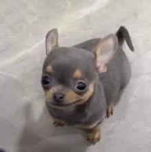 Profile picture for user EsmeYali