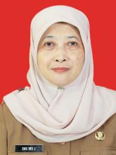 Profile picture for user Euistuti