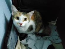 Profile picture for user fatiey2810