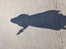 Profile picture for user Rosalina_471