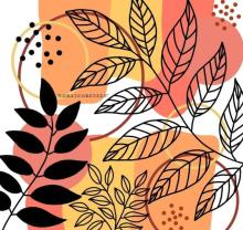 Profile picture for user yasmineelshenawy