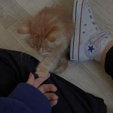 Profile picture for user rewan_nasr_220