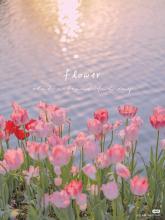 Profile picture for user changchang28