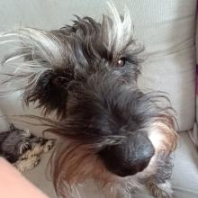 Profile picture for user Hugo1606