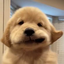 Profile picture for user qphuongg