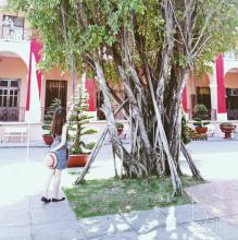 Profile picture for user tranthily03