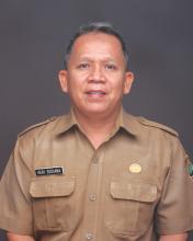 Profile picture for user ireh_sujana