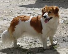 Profile picture for user DeanChris