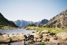 Profile picture for user leraspikie