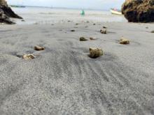 Profile picture for user ikrimatunnisa123