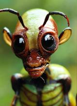 Profile picture for user Yerayrrz