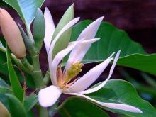 Profile picture for user Nathuong81