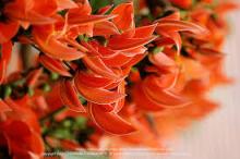 Profile picture for user kruninil