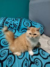 Profile picture for user pws19