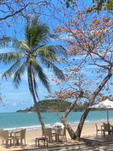 Profile picture for user Tippaawan97