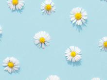 Profile picture for user Abigail_7642